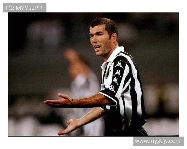 足球场上的老虎传奇：那些以猛虎为名的足球明星们