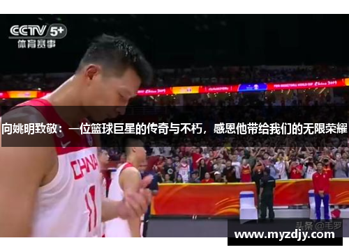 向姚明致敬：一位篮球巨星的传奇与不朽，感恩他带给我们的无限荣耀