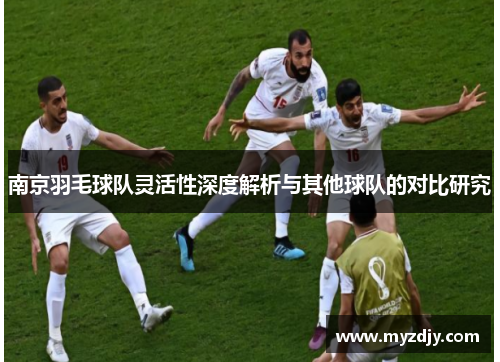 南京羽毛球队灵活性深度解析与其他球队的对比研究