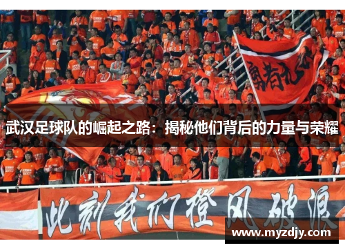 武汉足球队的崛起之路：揭秘他们背后的力量与荣耀