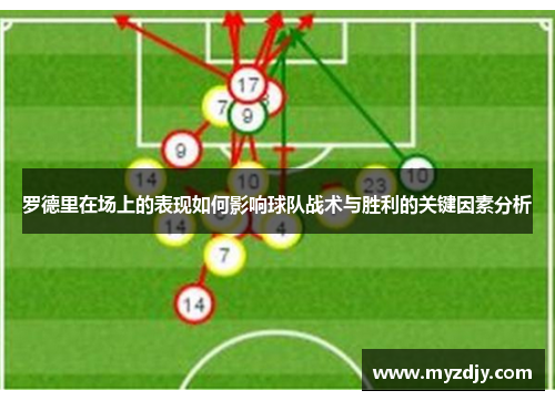 罗德里在场上的表现如何影响球队战术与胜利的关键因素分析